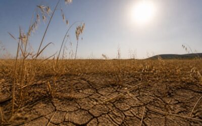 Un nou val de caniculă lovește România cu temperaturi de până la 39 de grade la început de august