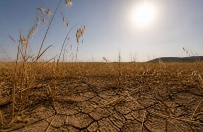 Un nou val de caniculă lovește România cu temperaturi de până la 39 de grade la început de august
