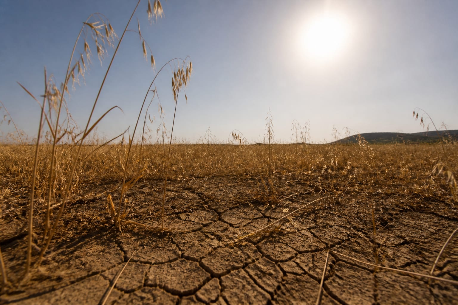 Un nou val de caniculă lovește România cu temperaturi de până la 39 de grade la început de august