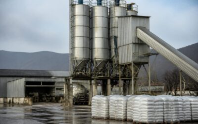 Cesal a încheiat 2025 cu profit net de 6,5 milioane lei, după preluarea fabricii din Căpușu Mare